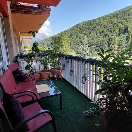 Apartament Ovo Сіная Екстер'єр фото