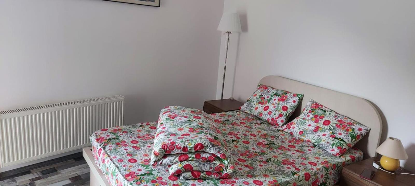 Apartament Ovo Сіная Екстер'єр фото
