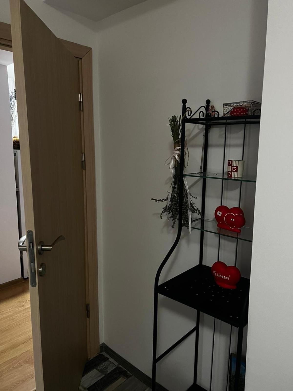 Apartament Ovo Сіная Екстер'єр фото