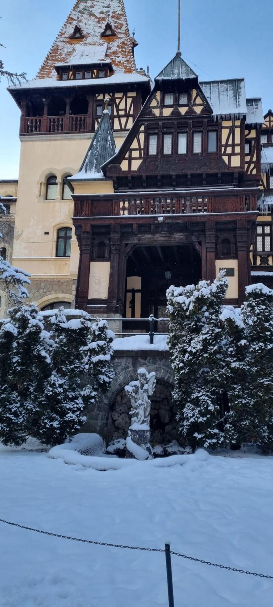 Apartament Ovo Сіная Екстер'єр фото